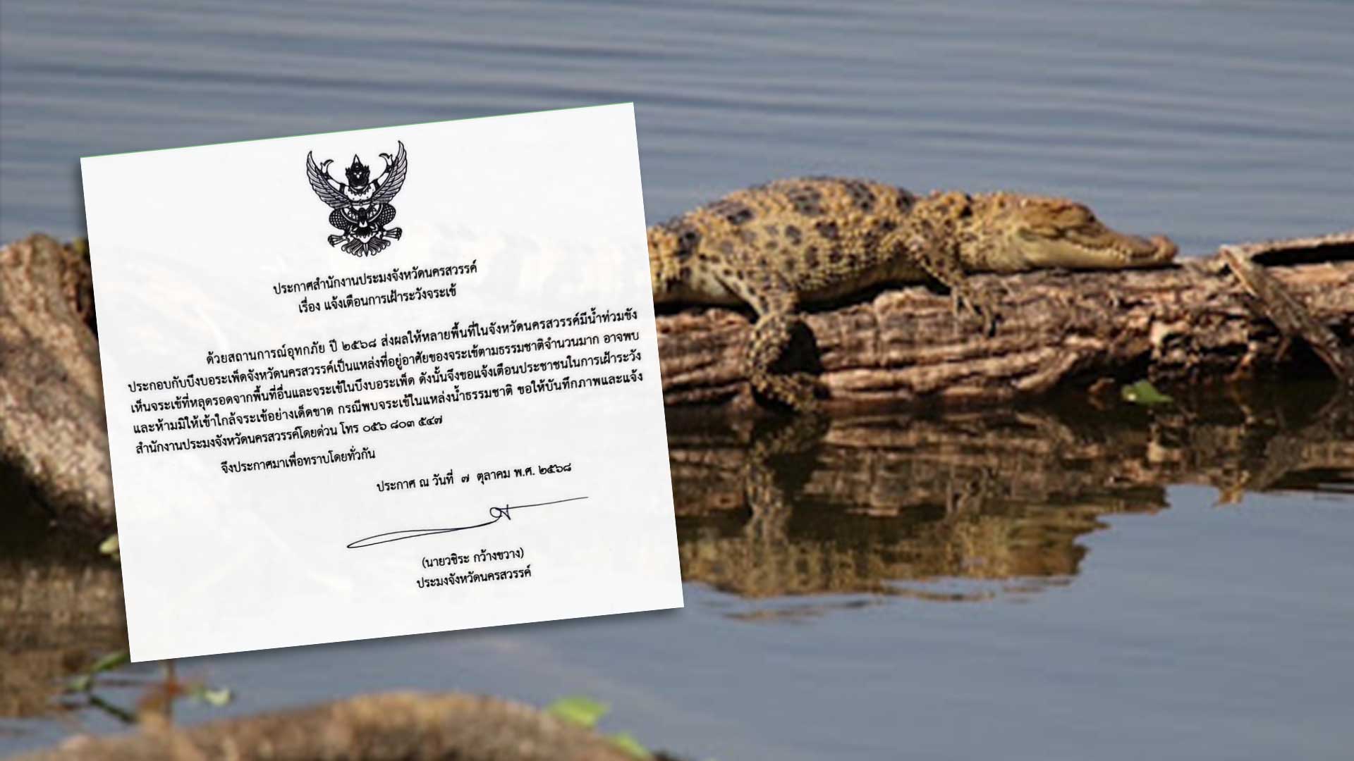 ประกาศสำนักงานประมงจังหวัดนครสวรรค์เรื่อง แจ้งเตือนการเฝ้าระวังจระเข้ 1 จระเข้หลุด3