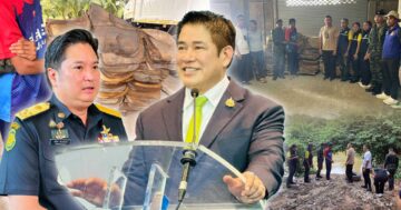 จับยางพาราเถื่อน3