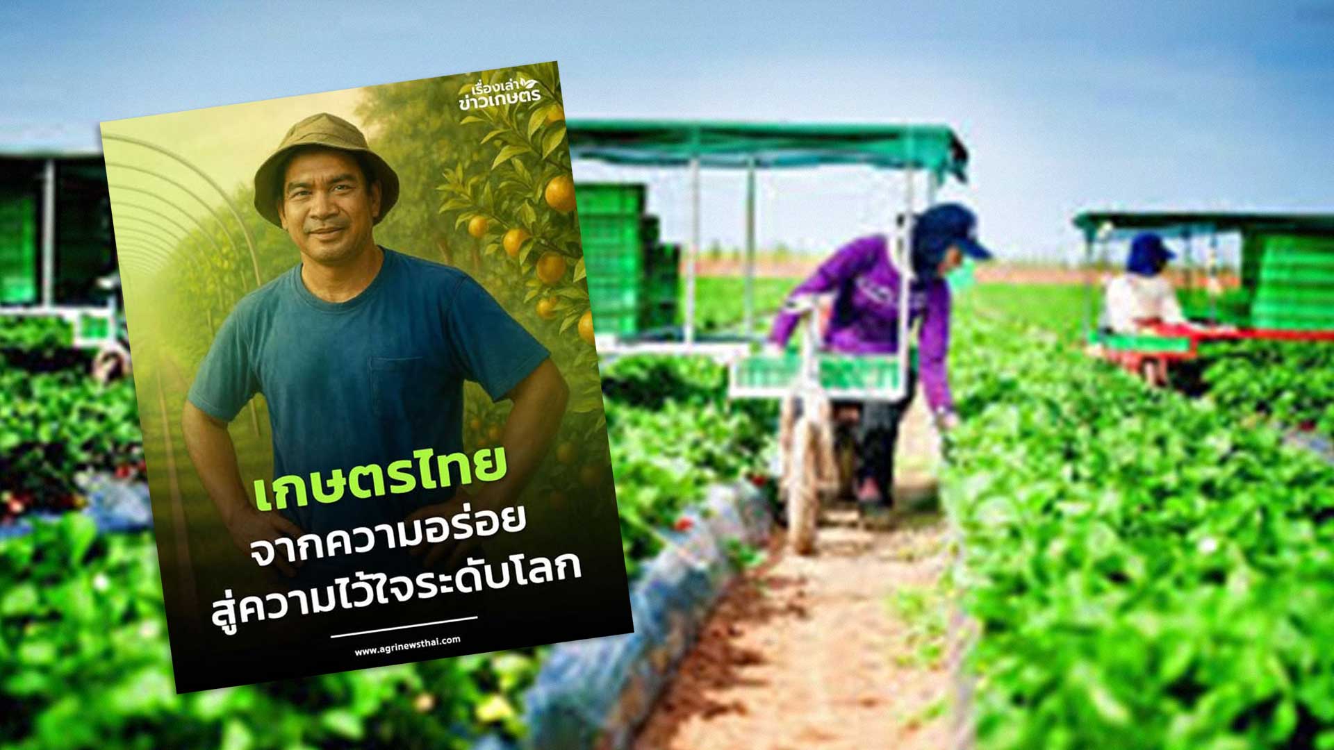 เกษตรไทย...จากความอร่อย สู่ความไว้ใจระดับโลก โดย ดร.เล็ก 1 จากความอร่อย3