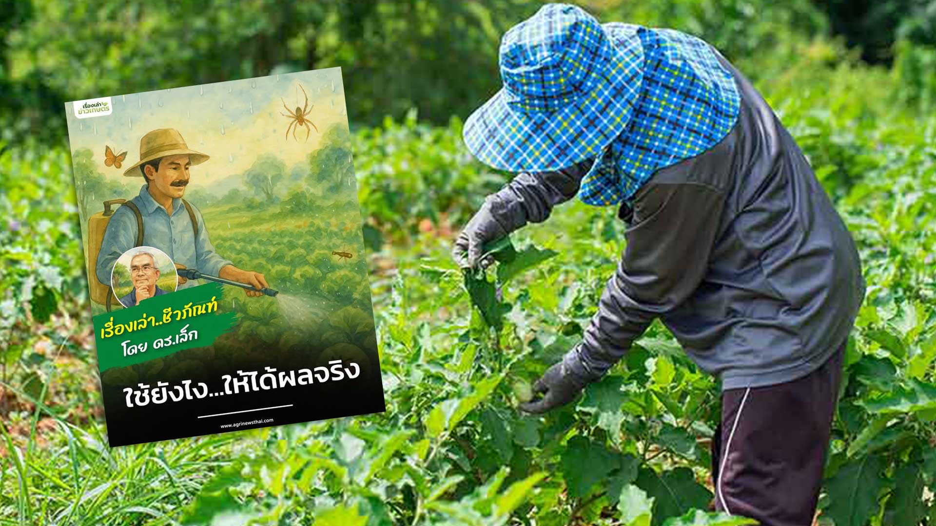 เรื่องเล่าชีวภัณฑ์ กับ ดร.เล็ก ตอนที่ 2 “ใช้ยังไง…ให้ได้ผลจริง” 1 ชีวภัณฑ์ใช้ยังไง3