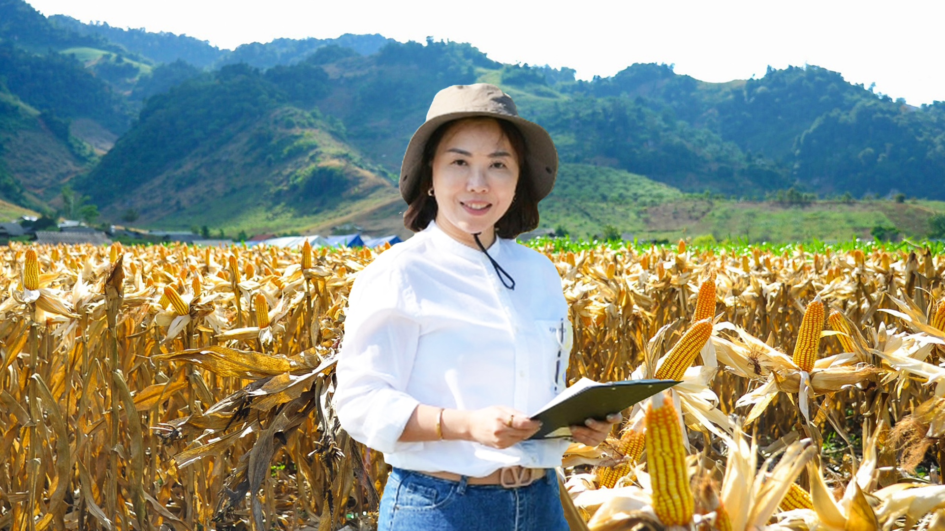 ซินเจนทา ยกระดับข้าวโพดเลี้ยงสัตว์ไทยด้วยนวัตกรรมระดับโลก “เทคโนโลยีชีวภาพ (Biological)” สู่อนาคตเกษตรยั่งยืน 1 ซินเจนทา2