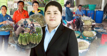 ต้นแบบแปลงใหญ่2