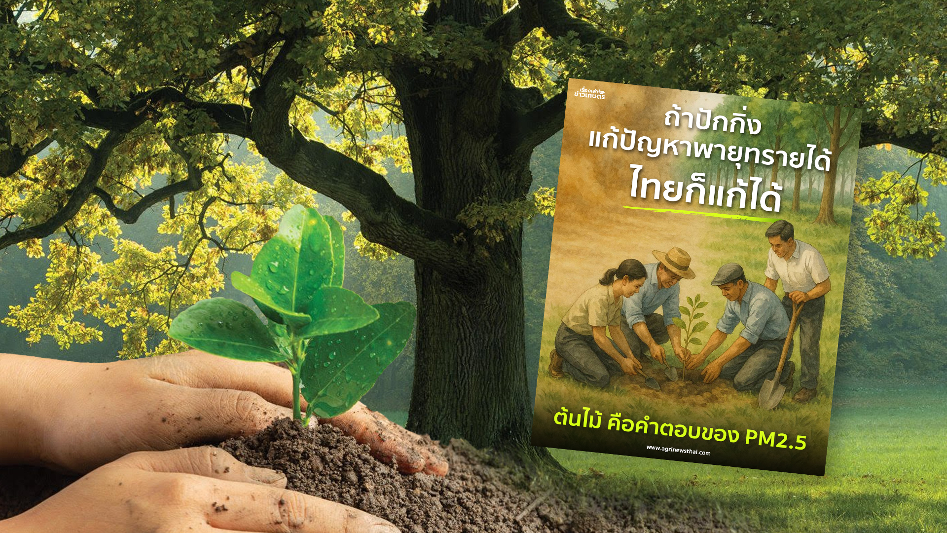 ถ้าปักกิ่งแก้ปัญหาพายุทรายได้…ไทยก็แก้ได้: ต้นไม้ คือคำตอบของ PM2.5 โดย ดร.เล็ก 1 ต้นไม้ คือคำตอบของ PM2.5 03