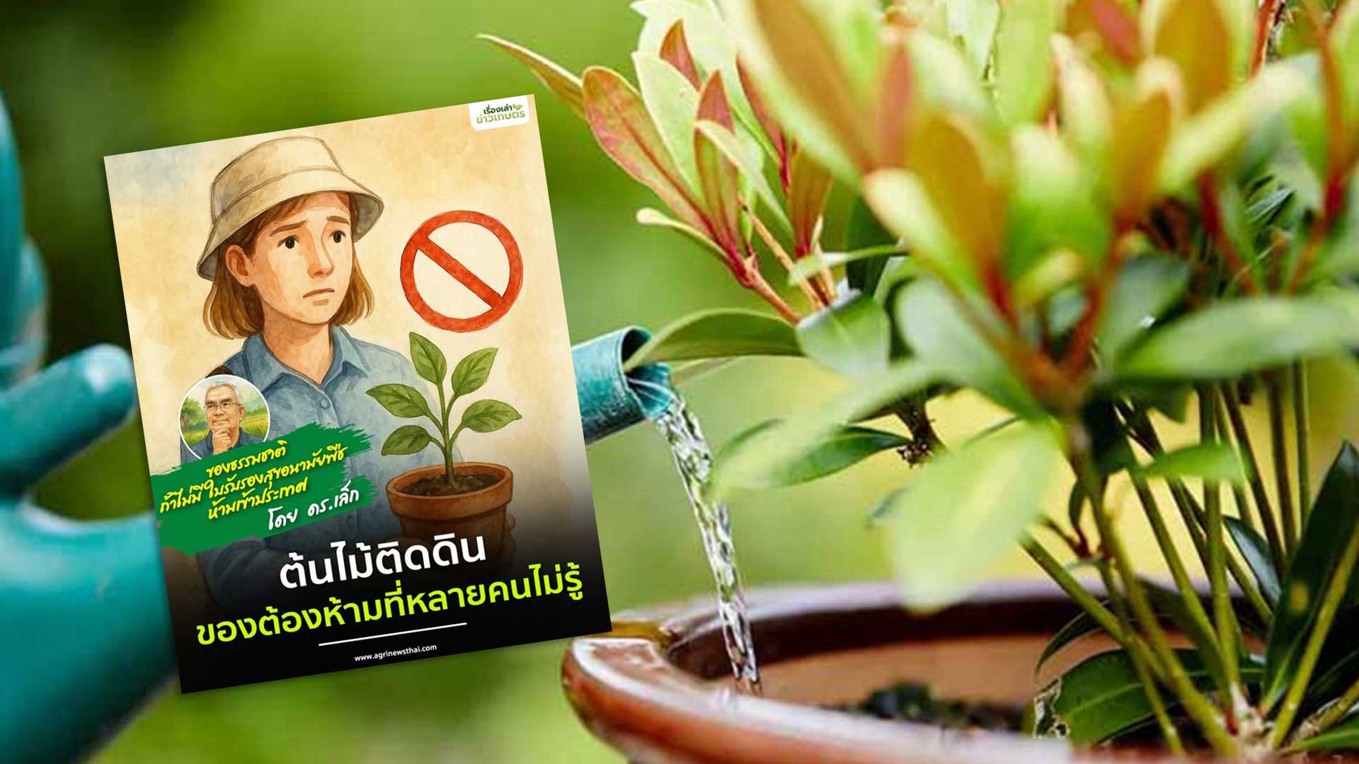 ของธรรมชาติ ถ้าไม่มีใบรับรองสุขอนามัยพืช ห้ามเข้าประเทศ โดย ดร.เล็ก ต้นไม้ติดดิน…ของต้องห้ามที่หลายคนไม่รู้ 1 ต้นไม้ติดดิน3