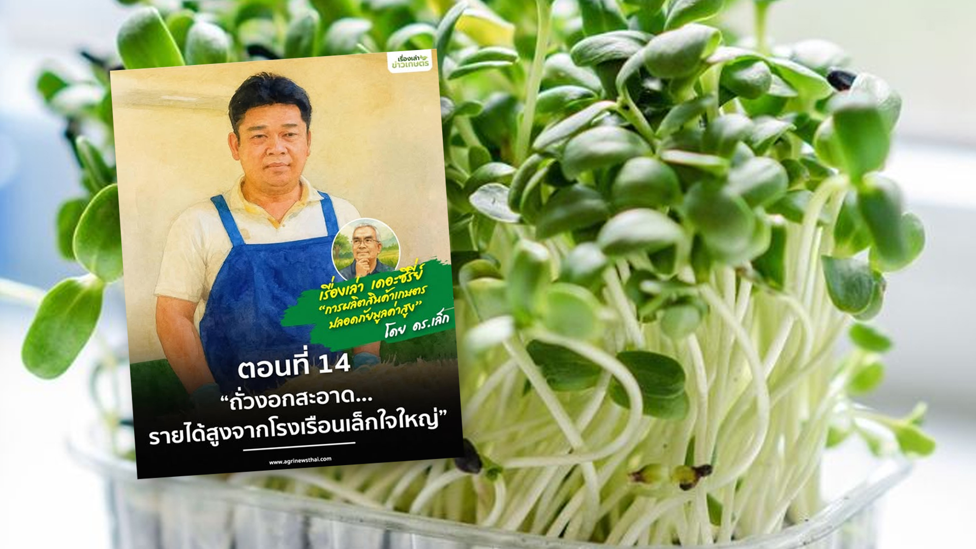 เรื่องเล่า เดอะซีรีส์ “การผลิตสินค้าเกษตรปลอดภัยมูลค่าสูง”ตอนที่ 14 : “ถั่วงอกสะอาด…รายได้สูงจากโรงเรือนเล็กใจใหญ่” 1 ถั่วงอกสะอาด2