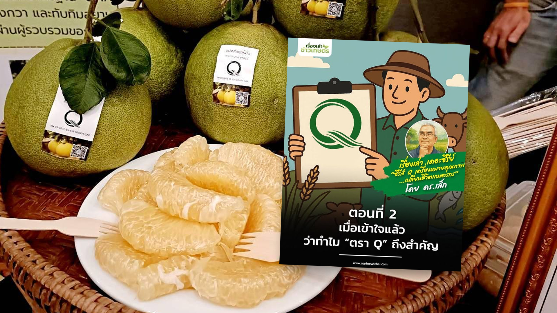 ซีรีส์ Q เครื่องหมายคุณภาพเปลี่ยนชีวิตเกษตรกร ตอนที่ 2 เมื่อเข้าใจแล้วว่าทำไม “ตรา Q” ถึงสำคัญ ขั้นตอนต่อไป“ทำอย่างไรจึงจะได้มันมา” 1 ทำอย่างไร2 1