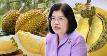 ทุเรียนหมอนทองเขาบรรทัด3