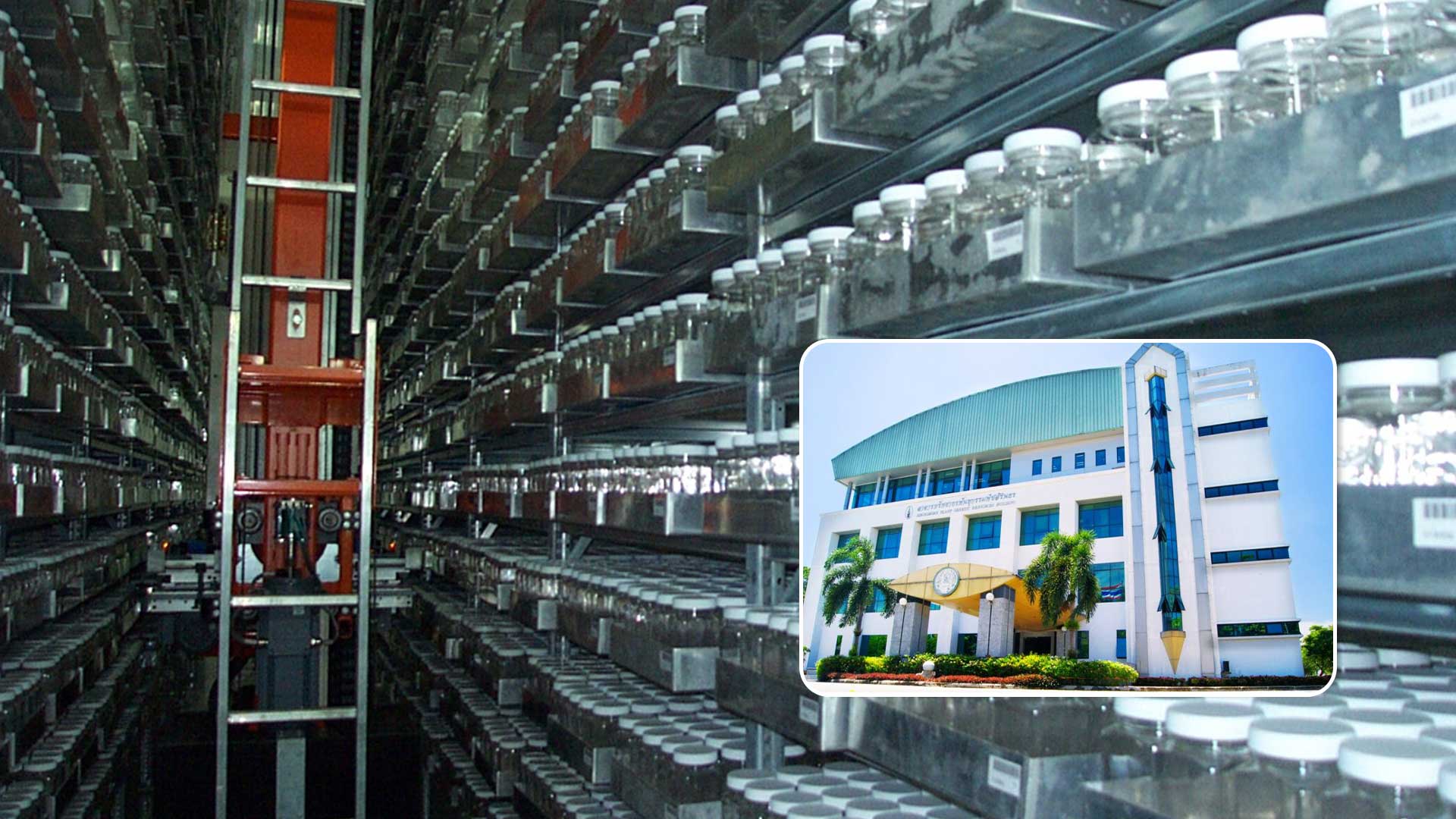 “ธนาคารเชื้อพันธุกรรมพืช (DOA Gene Bank)...ความมั่นคงทางอาหารและความยั่งยืนแห่งอนาคต” 1 ธนาคารเชื้อพันธุกรรมพืช3