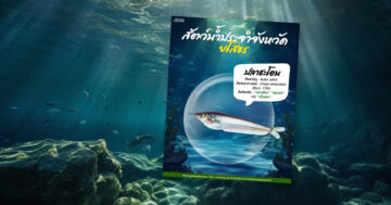 ปลาชะโอน2