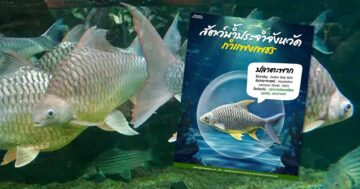 ปลาตะพาก3