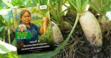 ผักปลอดภัยกลางหุบเขา2