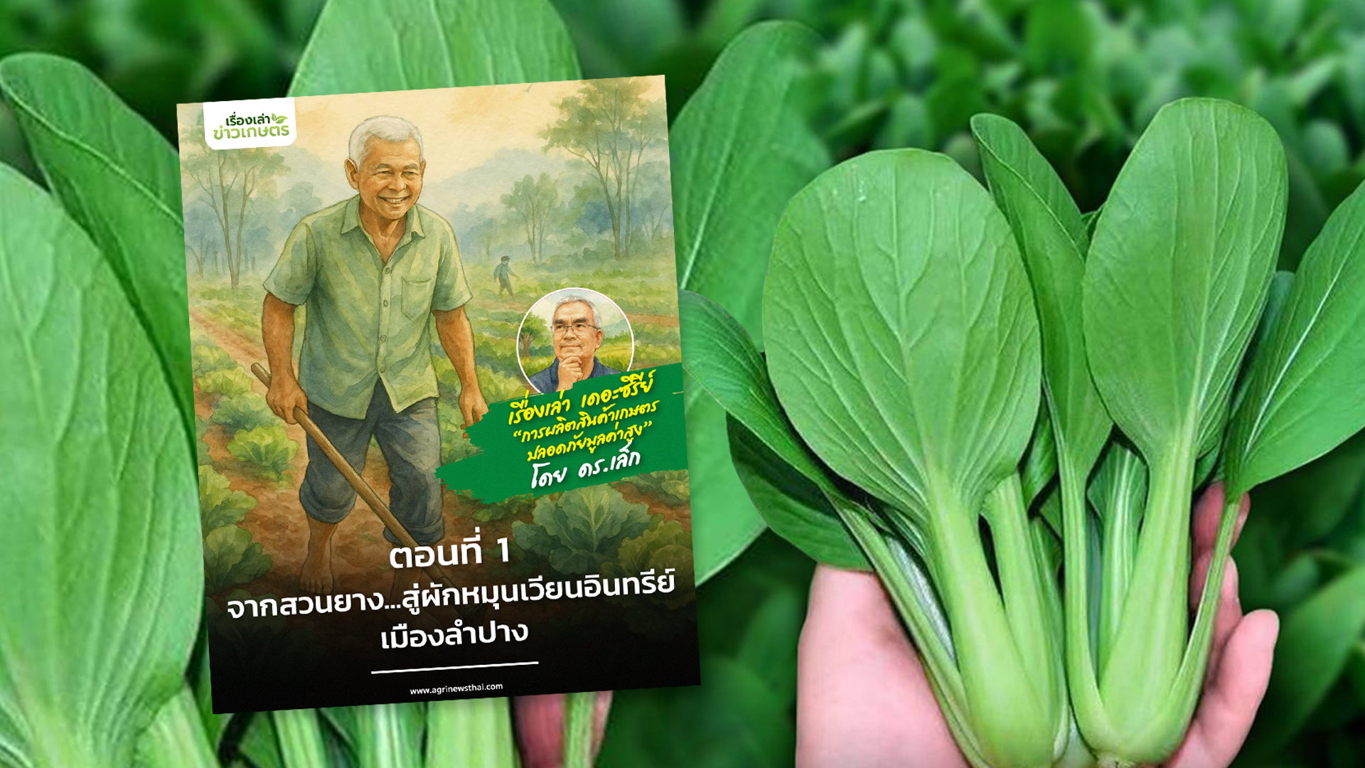 เรื่องเล่า เดอะซีรีย์ ผักหมุนเวียนอินทรีย์2