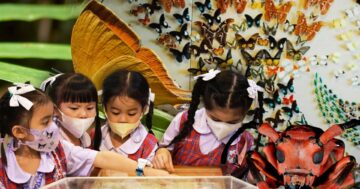 พิพิธภัณฑ์แมลง3