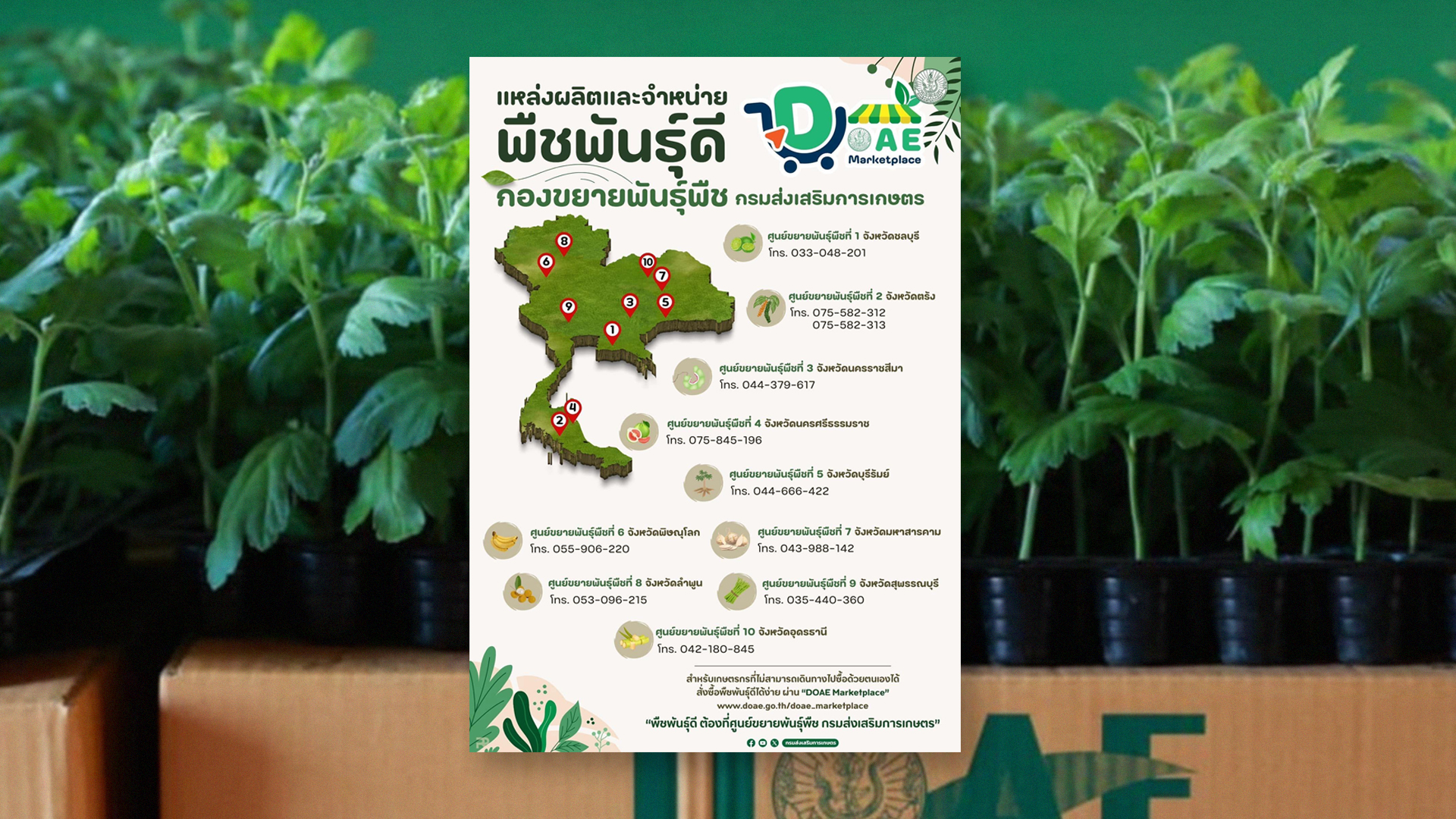 เกษตรกรสามารถเข้าถึง พืชพันธุ์ดี2 1