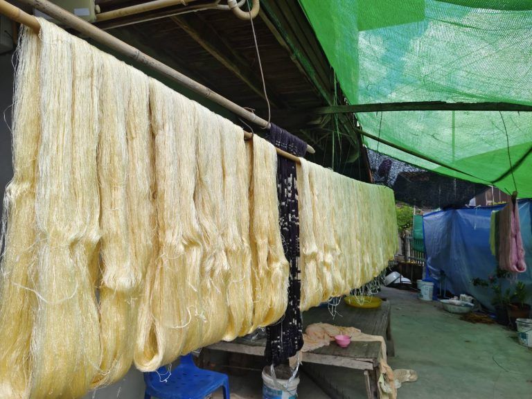 กรมหม่อนไหมเดินหน้า “ธนาคารปัจจัยการผลิตด้านหม่อนไหม” 94 แห่ง ครอบคลุม 33 จังหวัด ยกระดับการเข้าถึงวัตถุดิบ–หนุนเศรษฐกิจฐานราก ตามแนวทาง BCG 7 ภาพมม6