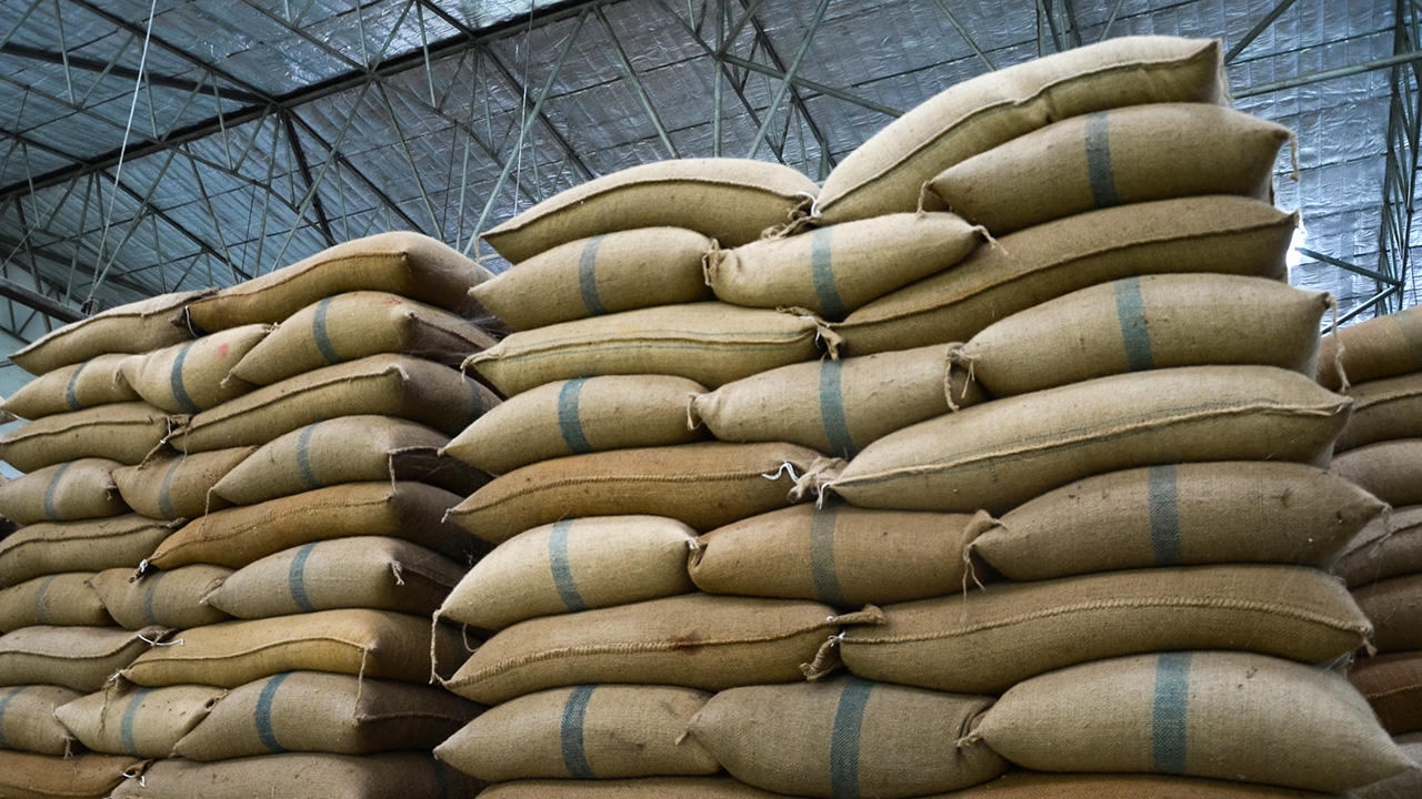 เปิดสถิติการค้าเกษตร 8 เดือน ปี 68 ไทยรักษาดุลการค้าได้แข็งแกร่ง เกินดุล 7 แสนล้าน เผย ทุเรียน ครองแชมป์ นำทัพตลาดจีนส่งออก แนะเร่งใช้ FTA เพิ่มโอกาส รับมือปัจจัยผันผวนเศรษฐกิจโลก 3 ภาพสศก5