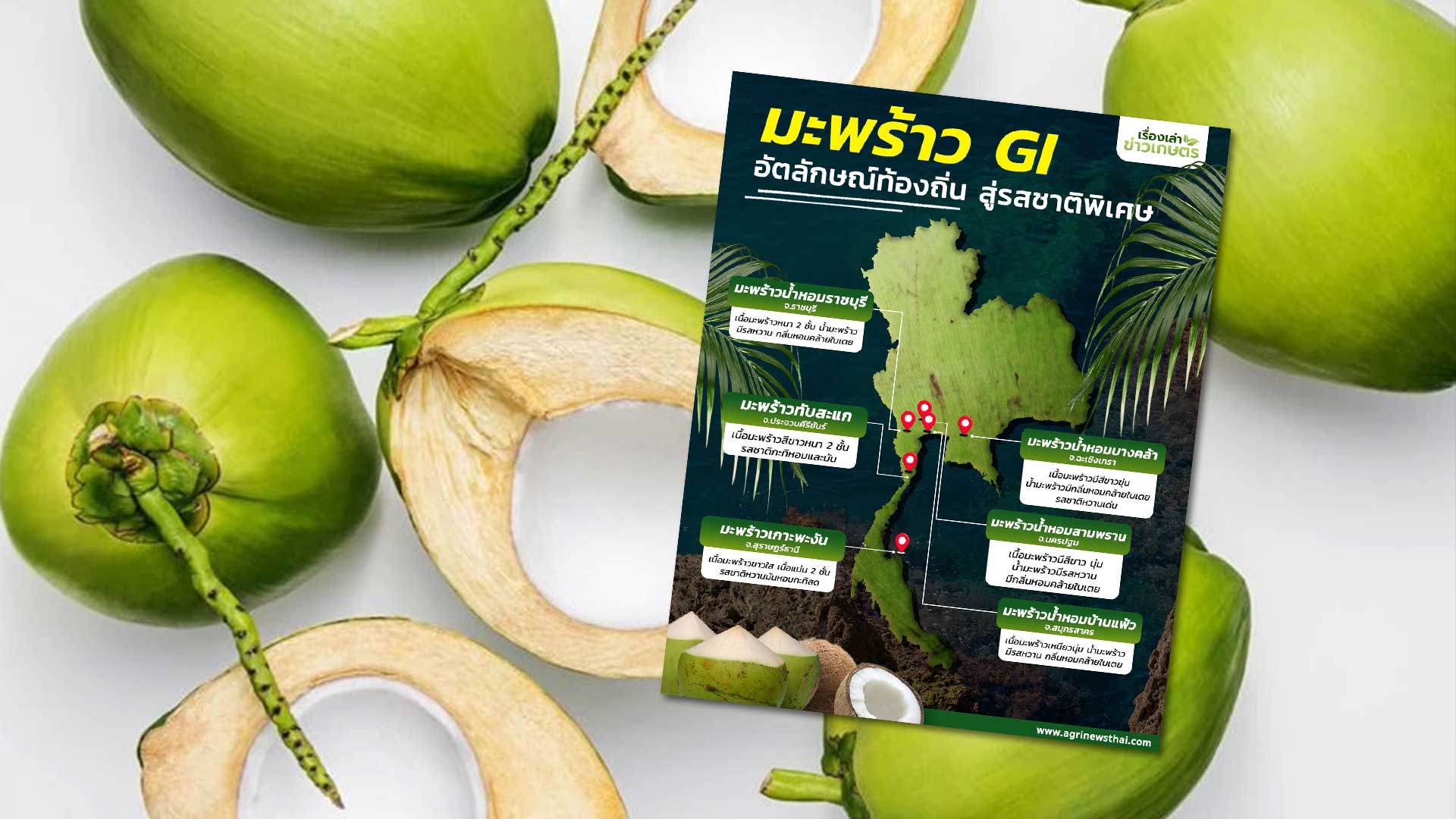 มะพร้าว GI3