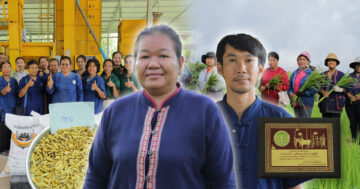 วิสาหกิจชุมชนเกษตรอินทรีย์นาภู2