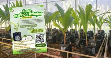 ศูนย์วิจัยพืชสวนชุมพร เปิดจอง3
