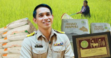 ศูนย์เมล็ดพันธุ์ข้าวกาฬสินธุ์3