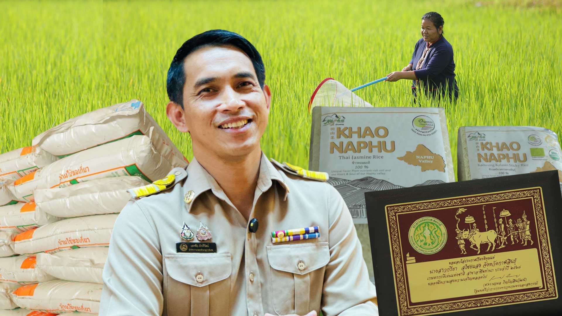 ศูนย์เมล็ดพันธุ์ข้าวกาฬสินธุ์ เบื้องหลังความสำเร็จ ของเกษตรกรดีเด่นแห่งชาติ 1 ศูนย์เมล็ดพันธุ์ข้าวกาฬสินธุ์3