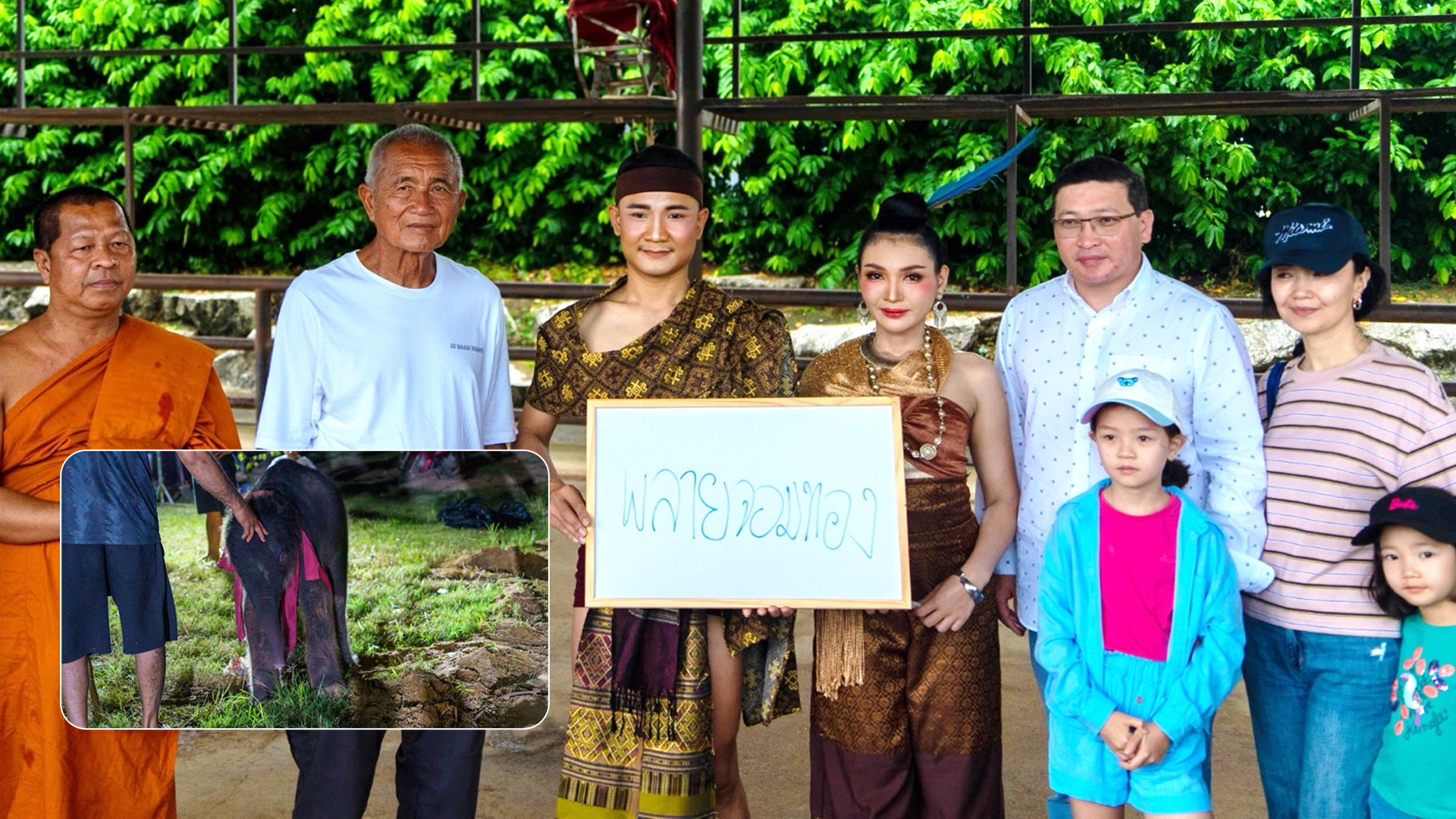 สวนนงนุชพัทยา จัดพิธีรับขวัญลูกช้าง “พลายจอมทอง” เชื่อมสายใยแห่งความผูกพันกับ “น้องข้าวต้ม” ลูกช้างป่าพลัดหลง 1 สวนนงนุชพัทยา2