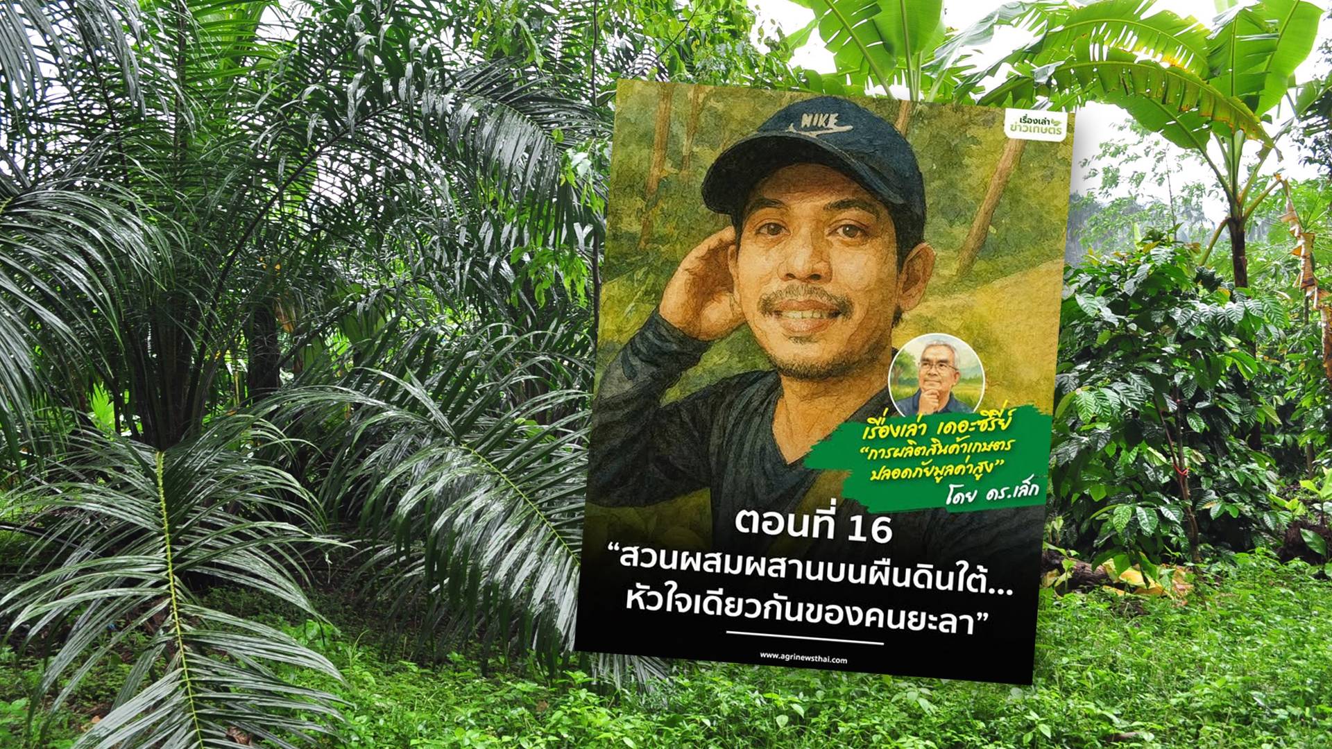 สวนผสมผสานบนผืนดินใต้2