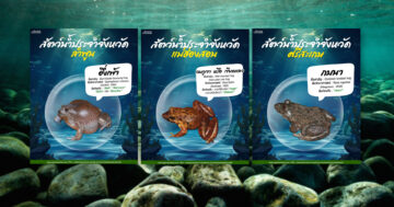 สัตว์น้ำประจำจังหวัด2 1