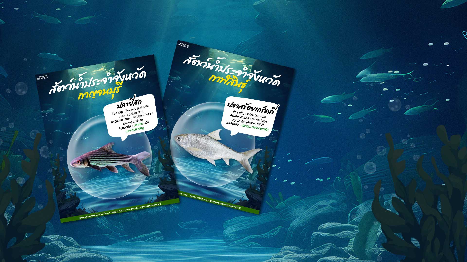 สัตว์น้ำประจำจังหวัด3