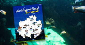 สัตว์น้ำประจำจังหวัดในภาคเหนือ4