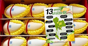 สุดยอดมะม่วง2