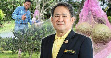 ส้มโอหอมควนลัง3