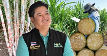 อ้อยโรงงาน3