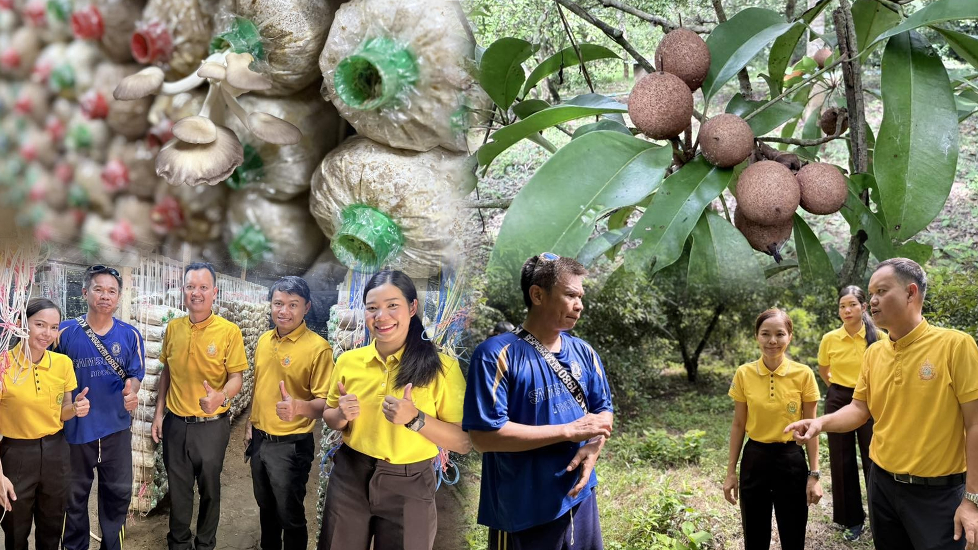 เกษตรนครสวรรค์ ลงพื้นที่เยี่ยมเยียนเกษตรกรผู้ปลูกละมุด ตำบลบางมะฝ่อ อำเภอโกรกพระ 1 เกษตรนครสวรรค์2