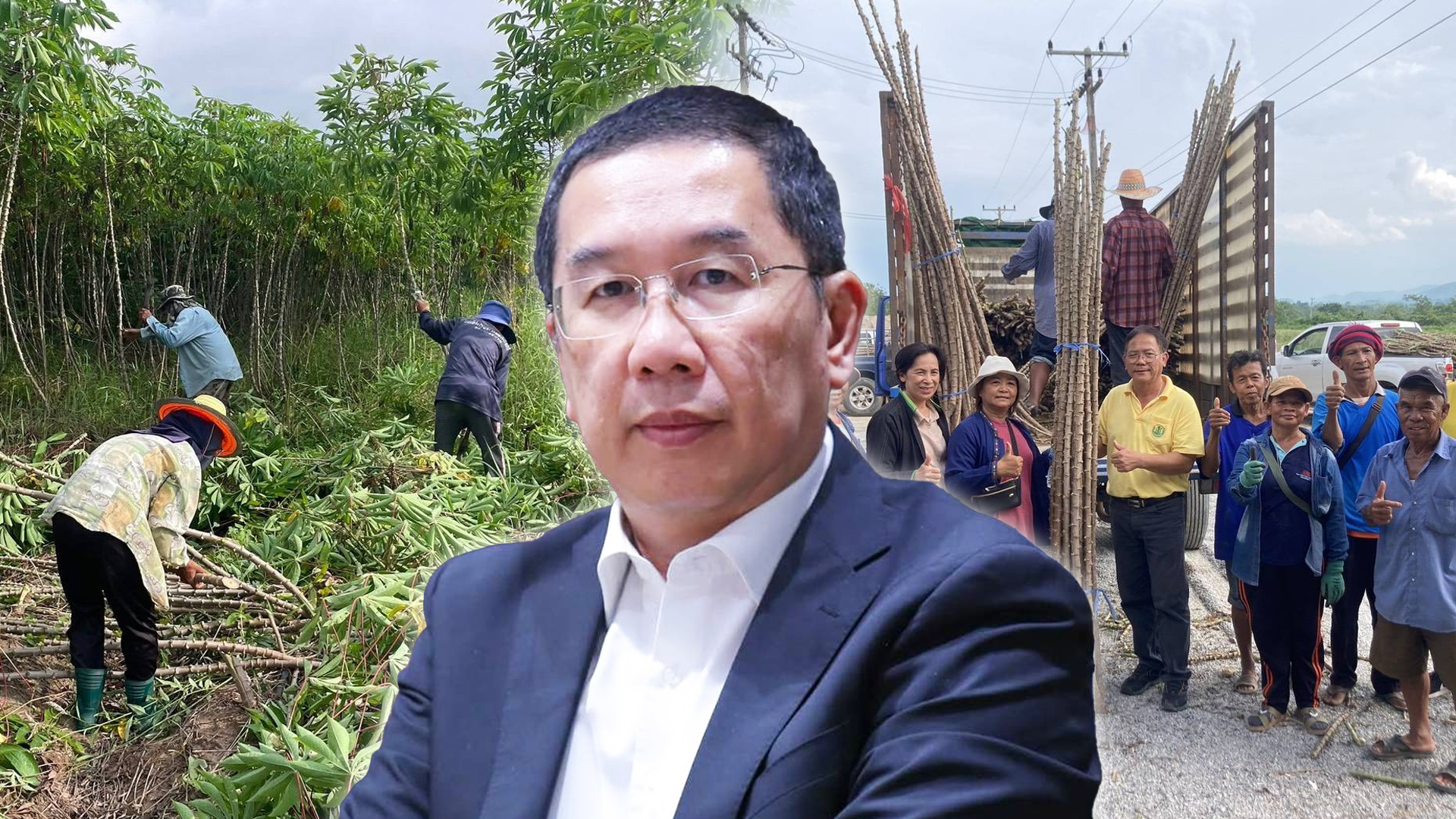 เกษตรฯ เร่งผลิต–ขยาย–กระจาย “มันสำปะหลังพันธุ์ดีต้านทานโรคใบด่าง” ครอบคลุมทั่วประเทศ 1 เกษตรฯ เร่งผลิต–ขยาย–กระจาย2