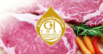 เนื้อโคขุนกำแพงแสน2