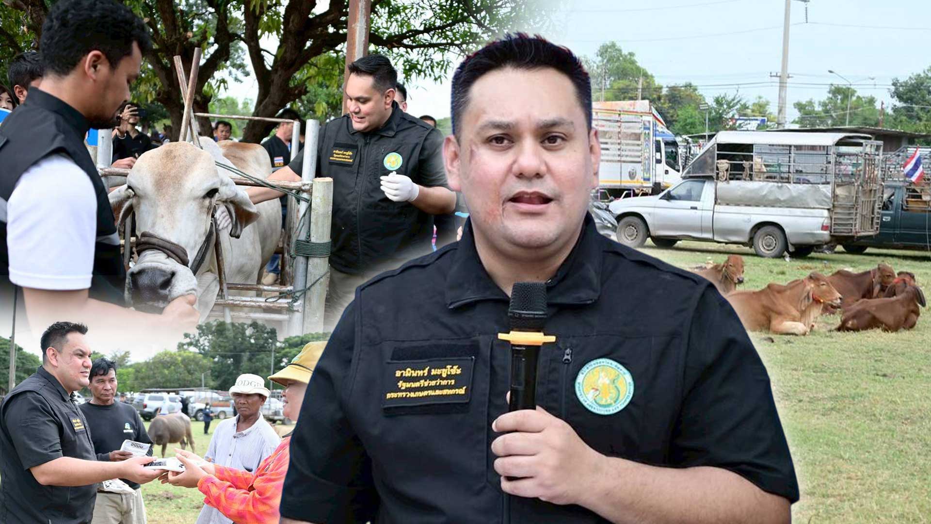 รมช.อามินทร์ เปิดโครงการรณรงค์ฉีดวัคซีนป้องกันโรคปากและเท้าเปื่อย และโรคลัมปีสกิน ในพื้นที่จังหวัดสุรินทร์ 1 เปิดโครงการรณรงค์3