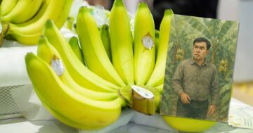 เรื่องกล้วย ๆ ที่ไม่กล้วย3