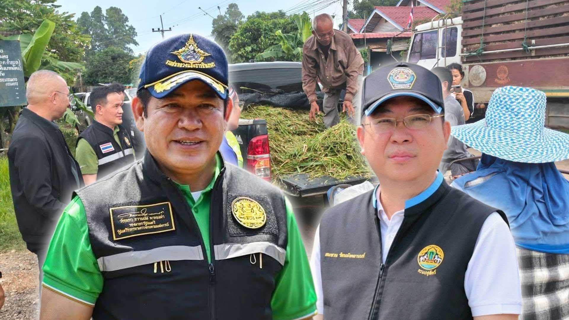 กรมปศุสัตว์เร่งช่วยเกษตรกรชายแดนไทย–กัมพูชา แก้ปัญหาขาดแคลนอาหารสัตว์ 1 เร่งช่วยเกษตรกรชายแดนไทย–กัมพูชา3