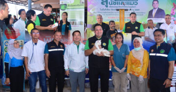 เร่งรัดทำหมันสุนัข–แมว2