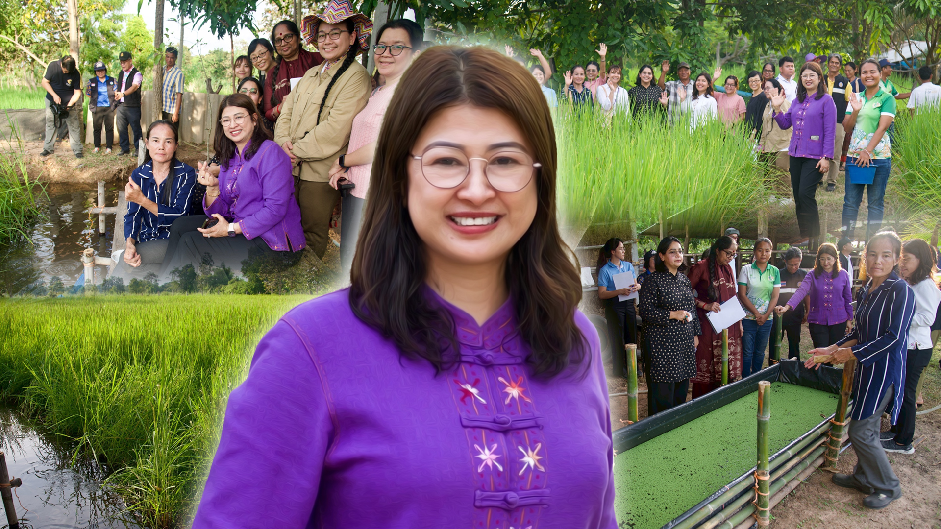 เลี้ยงปลาในนาข้าว2