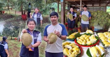 แนะแนวทาง3