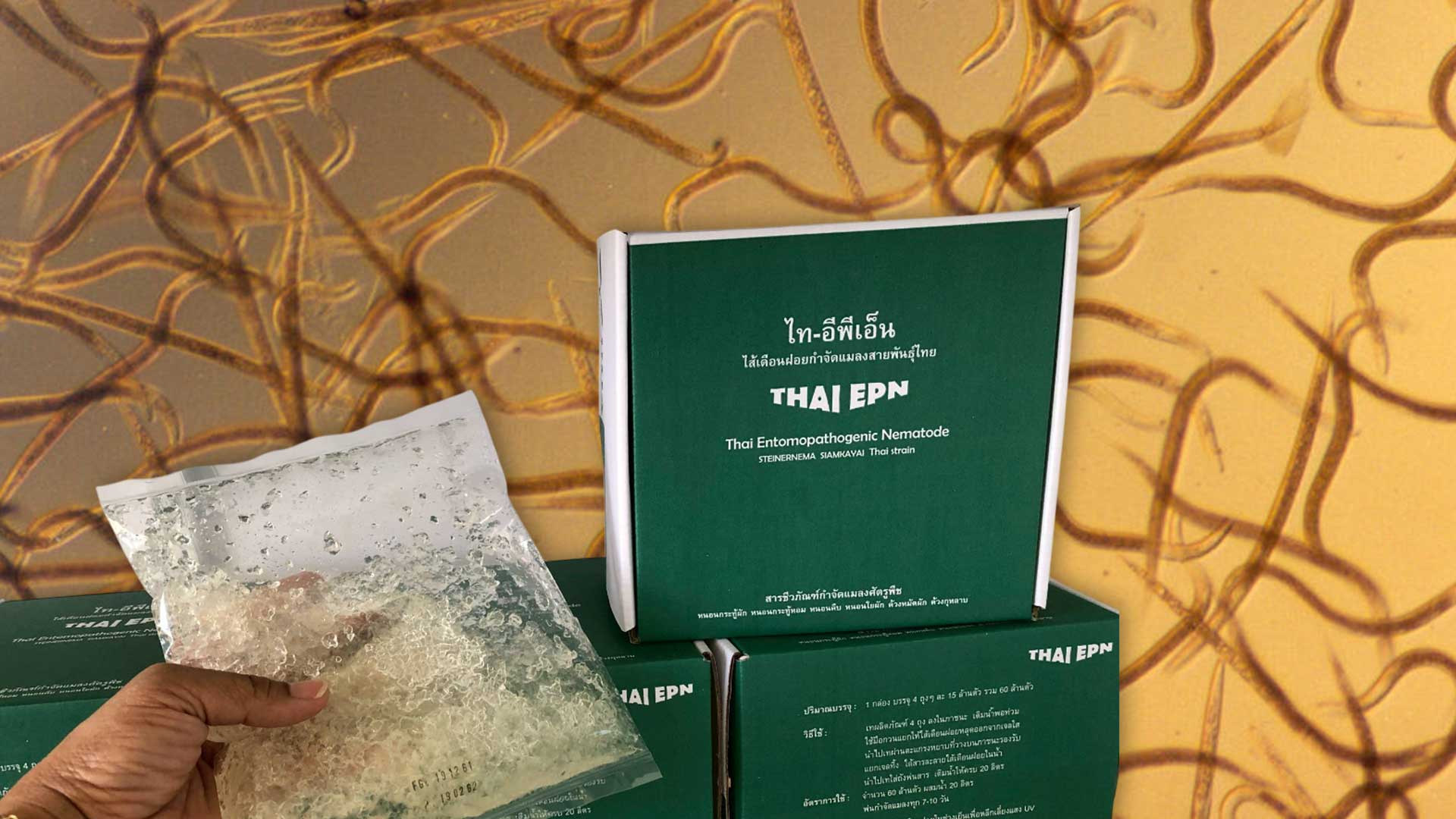 ร.อ.ธรรมนัส ลั่น ‘กล้าธรรม’ พร้อมเลือกตั้ง 100% มากกว่าทุกพรรค ไม่ตั้งเป้าแต่ทำให้ดีที่สุด อุบดูด ‘ไชยา พรหมา’ รับสนิทตั้งแต่อยู่ ก.เกษตรฯ 1 ไส้เดือนฝอย3 1