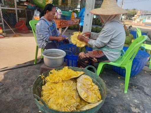ต้นแบบแปลงใหญ่เข้มแข็ง “กลุ่มขนุนหนองเหียง” จ.ชลบุรี ผลิต-แปรรูป ขนุนคุณภาพ สร้างรายได้เกษตรกร 7 1000017065 0