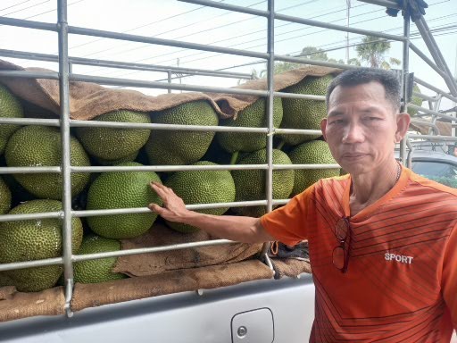 ต้นแบบแปลงใหญ่เข้มแข็ง “กลุ่มขนุนหนองเหียง” จ.ชลบุรี ผลิต-แปรรูป ขนุนคุณภาพ สร้างรายได้เกษตรกร 8 1000017106 0