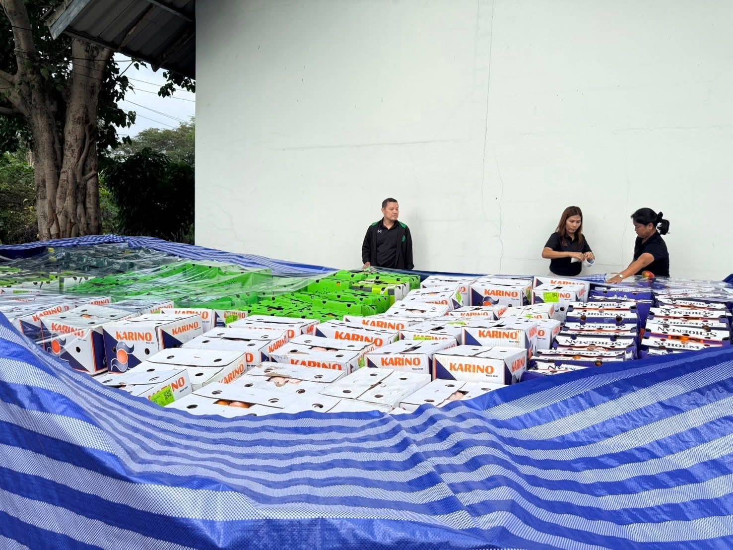 กรมวิชาการเกษตร ฉก.พญานาคราช ผนึกกำลังบุกยึดผลไม้เถื่อน กว่า 12 ตัน มูลค่า 2.89 ล้านบาท ตามนโยบาย “สงครามสินค้าเกษตรผิดกฎหมาย” ของ รมว.เกษตรฯ 4 1017080