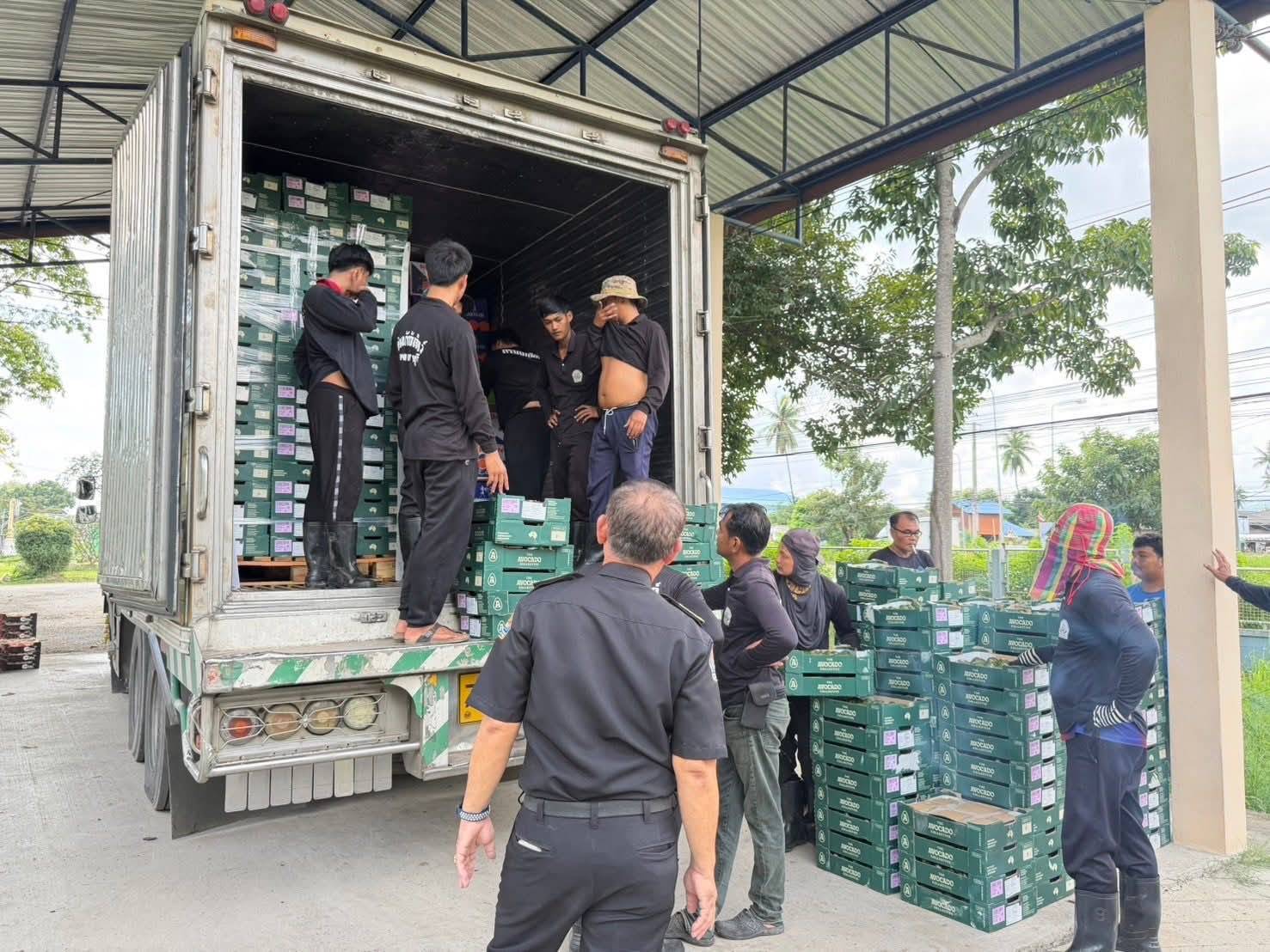 กรมวิชาการเกษตร ฉก.พญานาคราช ผนึกกำลังบุกยึดผลไม้เถื่อน กว่า 12 ตัน มูลค่า 2.89 ล้านบาท ตามนโยบาย “สงครามสินค้าเกษตรผิดกฎหมาย” ของ รมว.เกษตรฯ 6 1017082