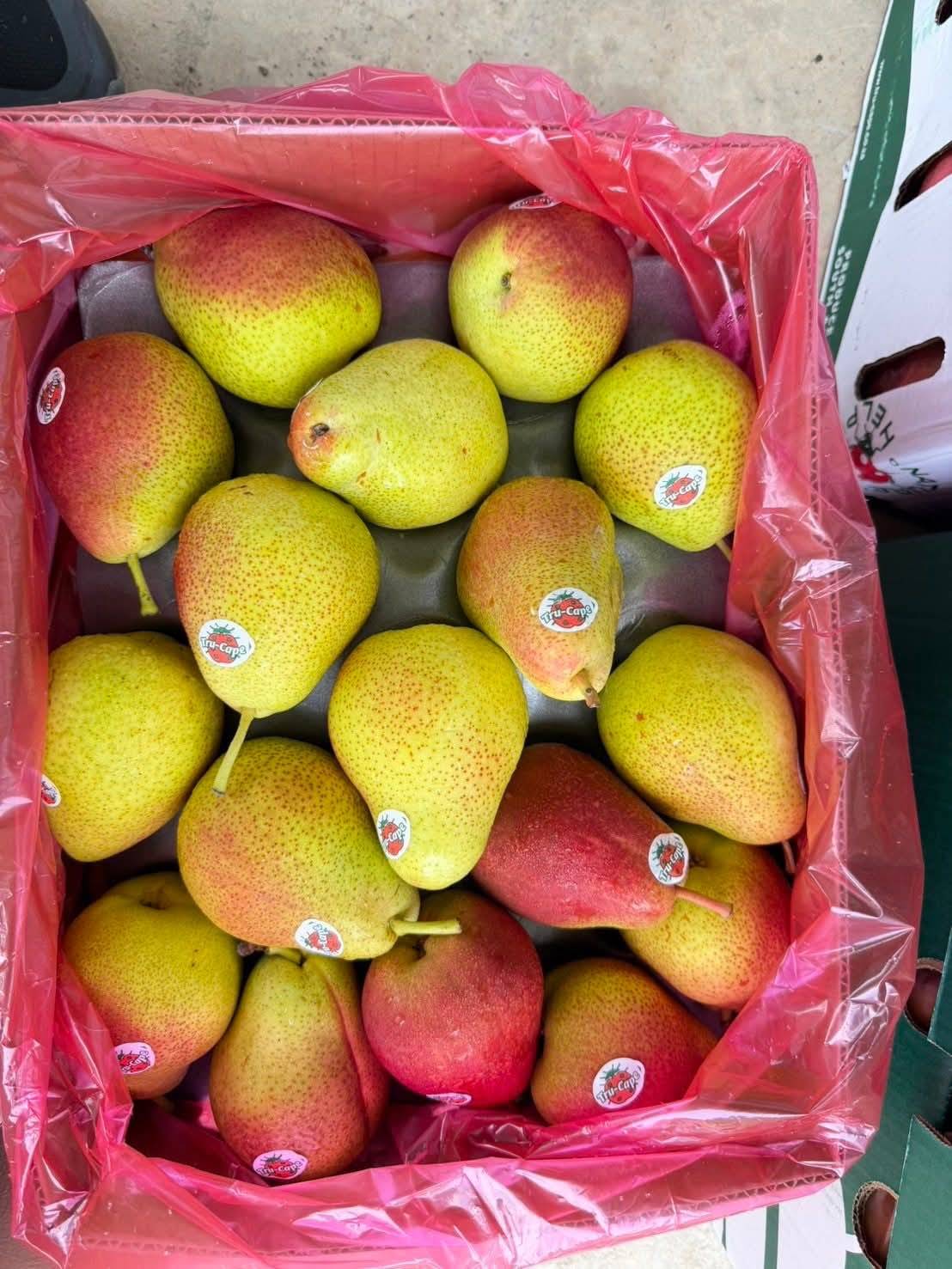 กรมวิชาการเกษตร ฉก.พญานาคราช ผนึกกำลังบุกยึดผลไม้เถื่อน กว่า 12 ตัน มูลค่า 2.89 ล้านบาท ตามนโยบาย “สงครามสินค้าเกษตรผิดกฎหมาย” ของ รมว.เกษตรฯ 8 1017084