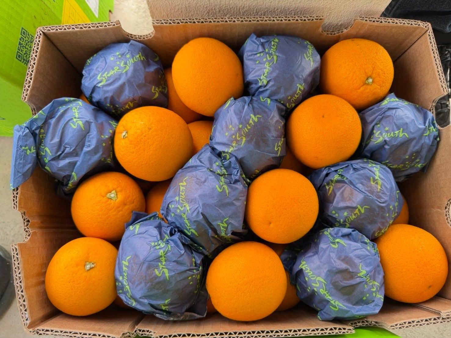 กรมวิชาการเกษตร ฉก.พญานาคราช ผนึกกำลังบุกยึดผลไม้เถื่อน กว่า 12 ตัน มูลค่า 2.89 ล้านบาท ตามนโยบาย “สงครามสินค้าเกษตรผิดกฎหมาย” ของ รมว.เกษตรฯ 9 1017085