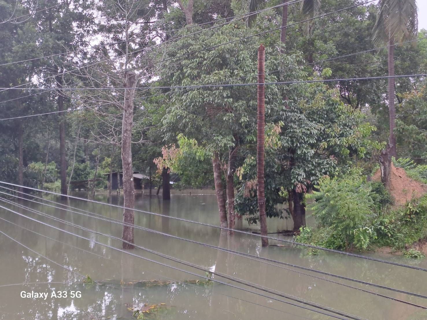 การยางฯสาขาสายบุรี จังหวัดปัตตานี สำรวจพบเกษตรกรชาวสวนยางพาราในพื้นที่ได้รับผลกระทบจากอุทกภัยจำนวน 5,520 ราย เนื้อที่ 27,595 ไร่ 3 1132159